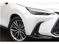 2022 Lexus NX