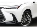 2022 Lexus NX