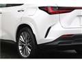 2022 Lexus NX