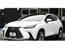 2022 Lexus NX
