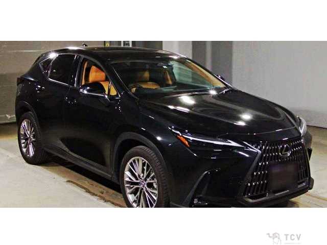 2022 Lexus NX