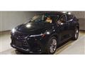2022 Lexus NX