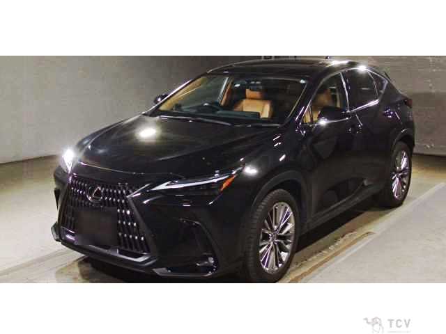 2022 Lexus NX