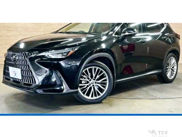 2022 Lexus NX
