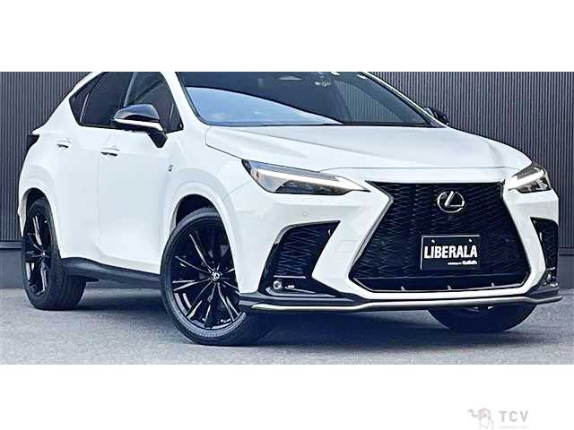 2022 Lexus NX