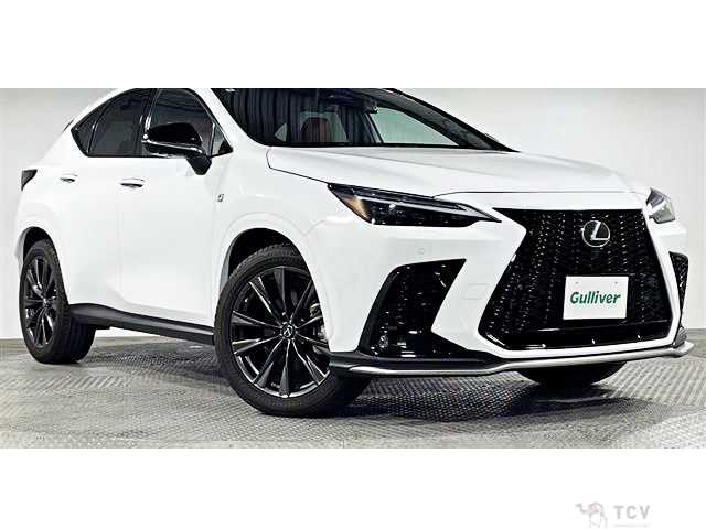 2022 Lexus NX
