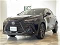 2022 Lexus NX