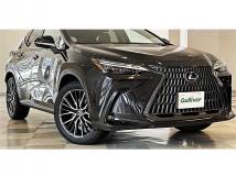 2022 Lexus NX