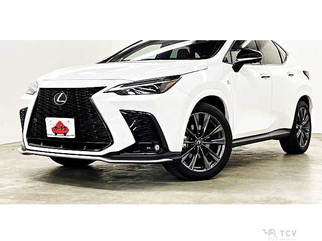 2022 Lexus NX