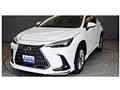 2022 Lexus NX
