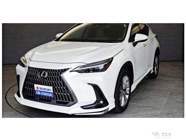 2022 Lexus NX