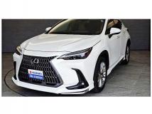 2022 Lexus NX