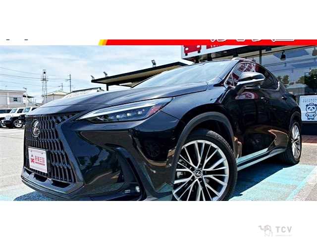 2022 Lexus NX