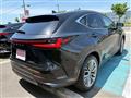 2022 Lexus NX