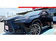 2022 Lexus NX