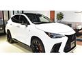 2022 Lexus NX