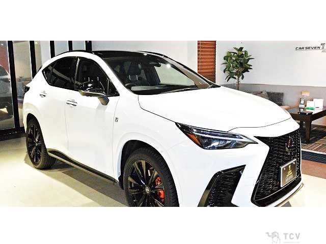 2022 Lexus NX