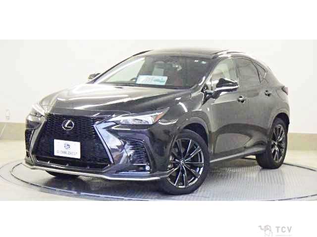 2022 Lexus NX