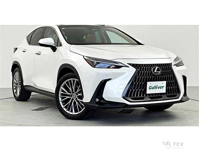 2022 Lexus NX