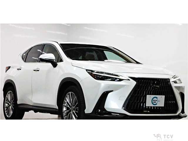 2022 Lexus NX