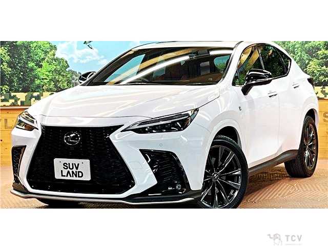 2022 Lexus NX
