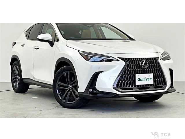 2022 Lexus NX