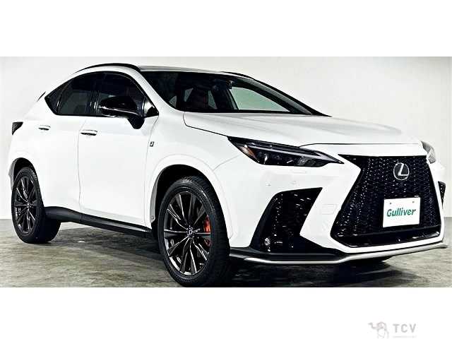 2022 Lexus NX