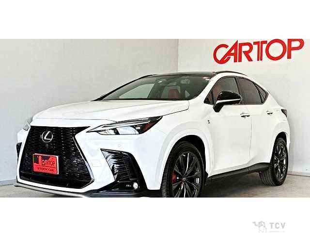 2022 Lexus NX