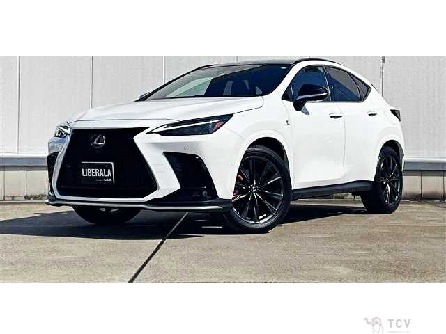 2022 Lexus NX