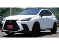 2022 Lexus NX