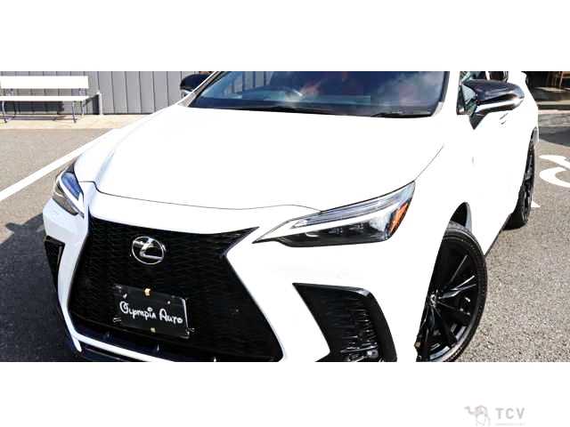 2022 Lexus NX