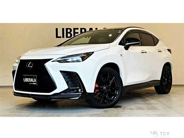 2022 Lexus NX