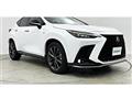 2022 Lexus NX
