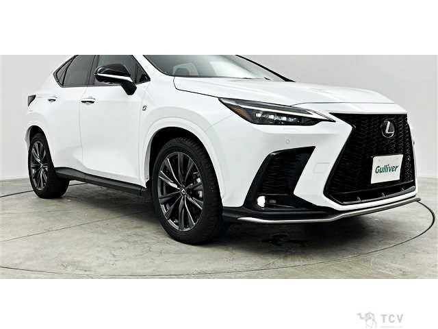 2022 Lexus NX