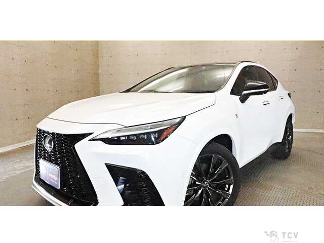 2022 Lexus NX