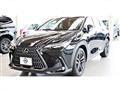 2022 Lexus NX