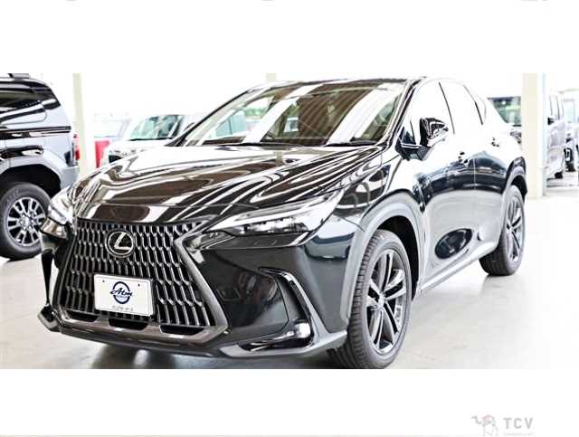 2022 Lexus NX