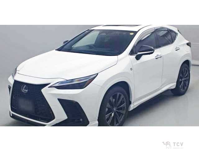 2022 Lexus NX