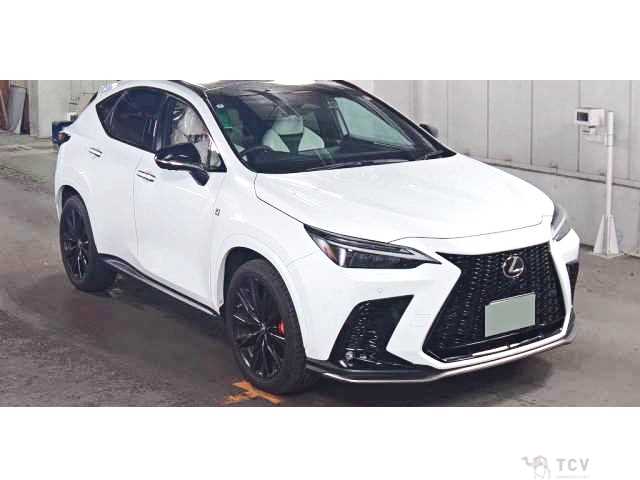 2022 Lexus NX