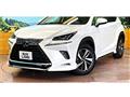 2021 Lexus NX