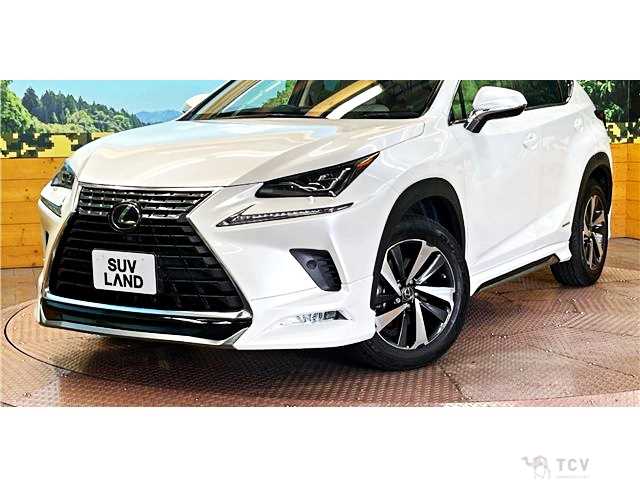 2021 Lexus NX