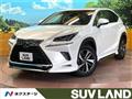 2021 Lexus NX