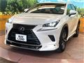2021 Lexus NX