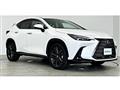 2021 Lexus NX