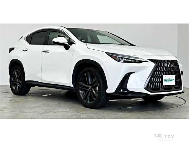 2021 Lexus NX