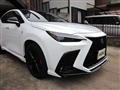 2021 Lexus NX