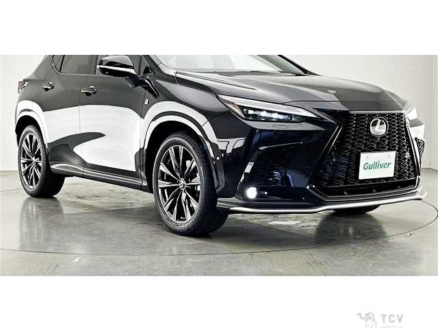 2021 Lexus NX