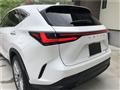 2021 Lexus NX