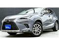 2020 Lexus NX