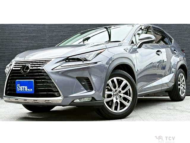 2020 Lexus NX